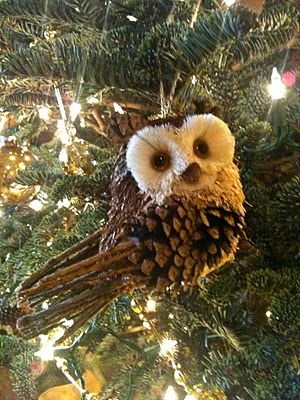 6f18eec81b7f358692e08154c8e9ce44