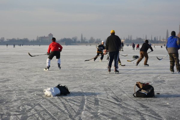 8236_orig_pre-fullhd